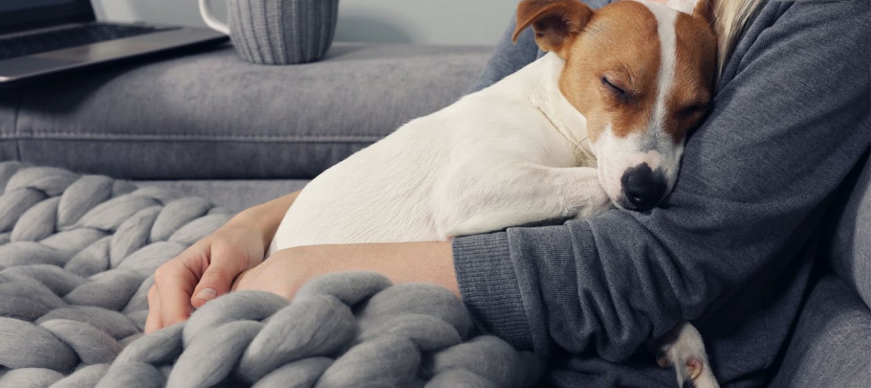 Estos son los nombres más comunes de las mascotas chilenas