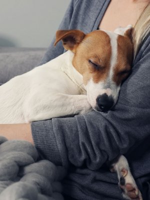 Estos son los nombres más comunes de las mascotas chilenas