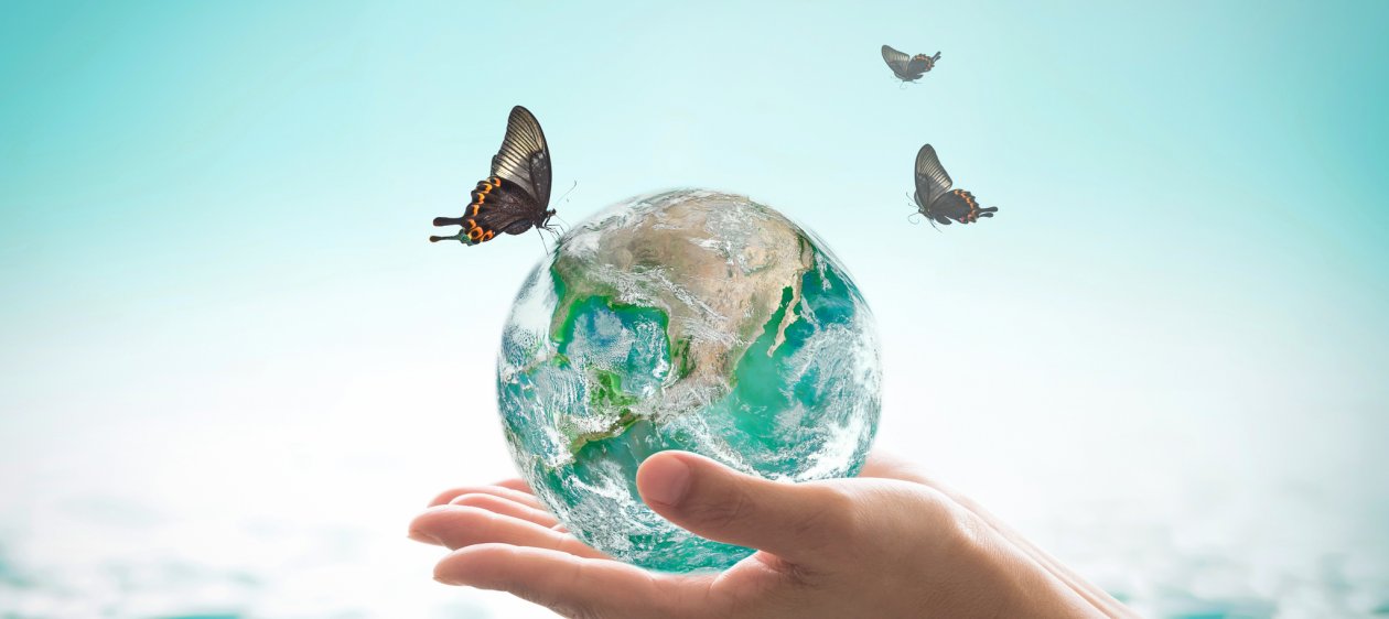 #ConcursoM360: ¡Cuida la tierra con productos de limpieza sustentables!