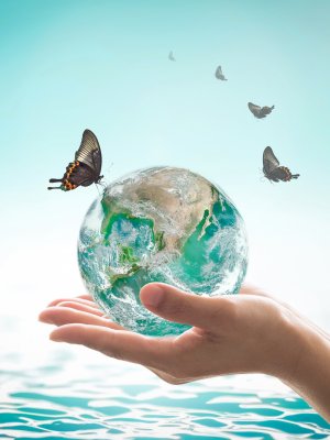 #ConcursoM360: ¡Cuida la tierra con productos de limpieza sustentables!