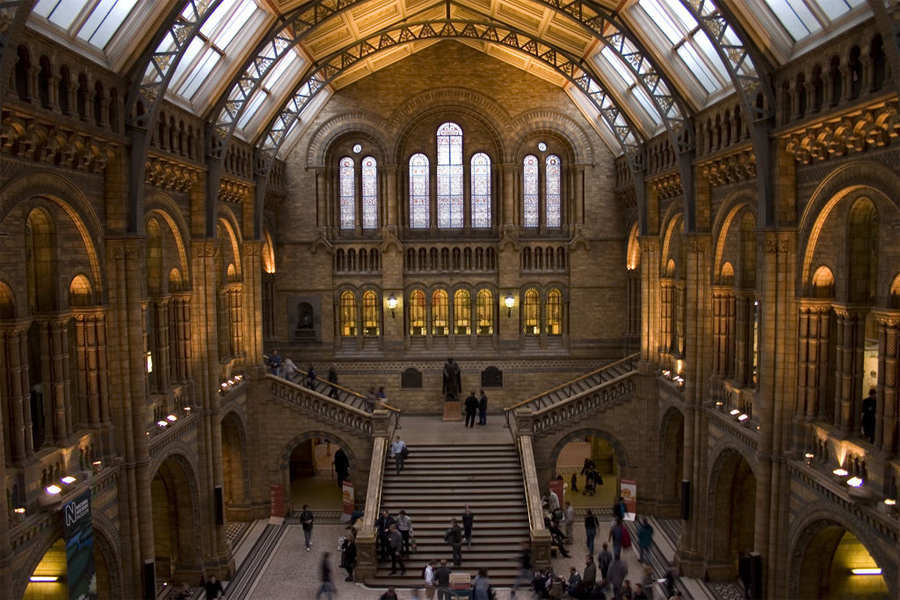 museo de historia natural londres