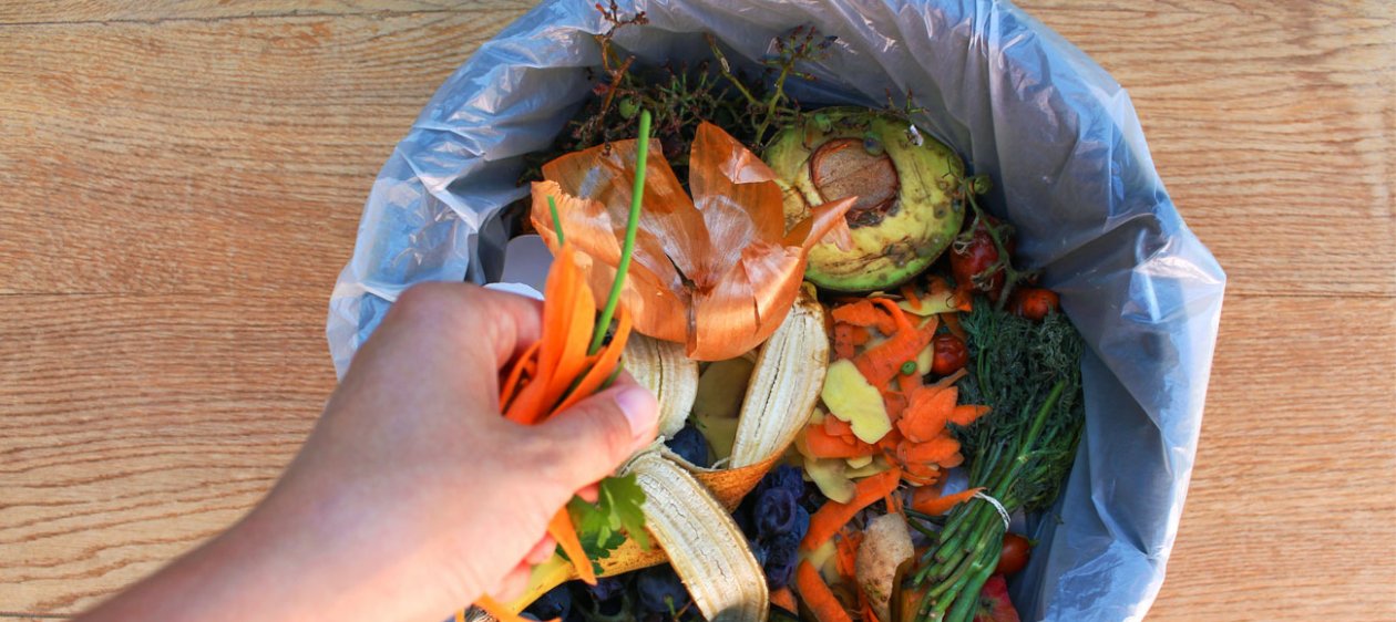 Food Waste: La cruzada sustentable que evita el desperdicio de alimentos