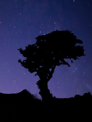 #HoróscopoM360: Las energías de los astros para el mes de julio