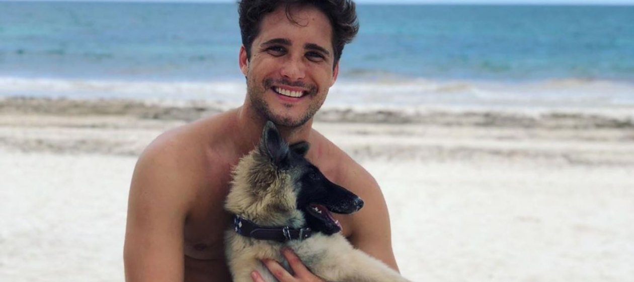 Akila, la cachorra de Diego Boneta ya es toda una estrella