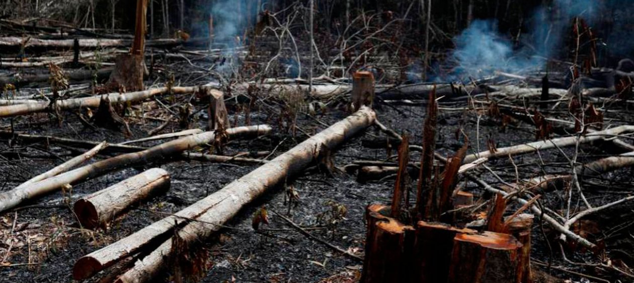 Famosos reaccionaron al desastre ambiental del Amazonas