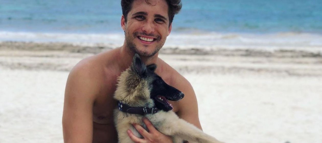 La cachorra de Diego Boneta tiene profesora personal