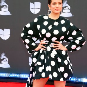 10 Looks que sorprendieron en la alfombra roja de los Grammy Latinos
10 Looks que sorprendieron en la alfombra roja de los Grammy Latinos