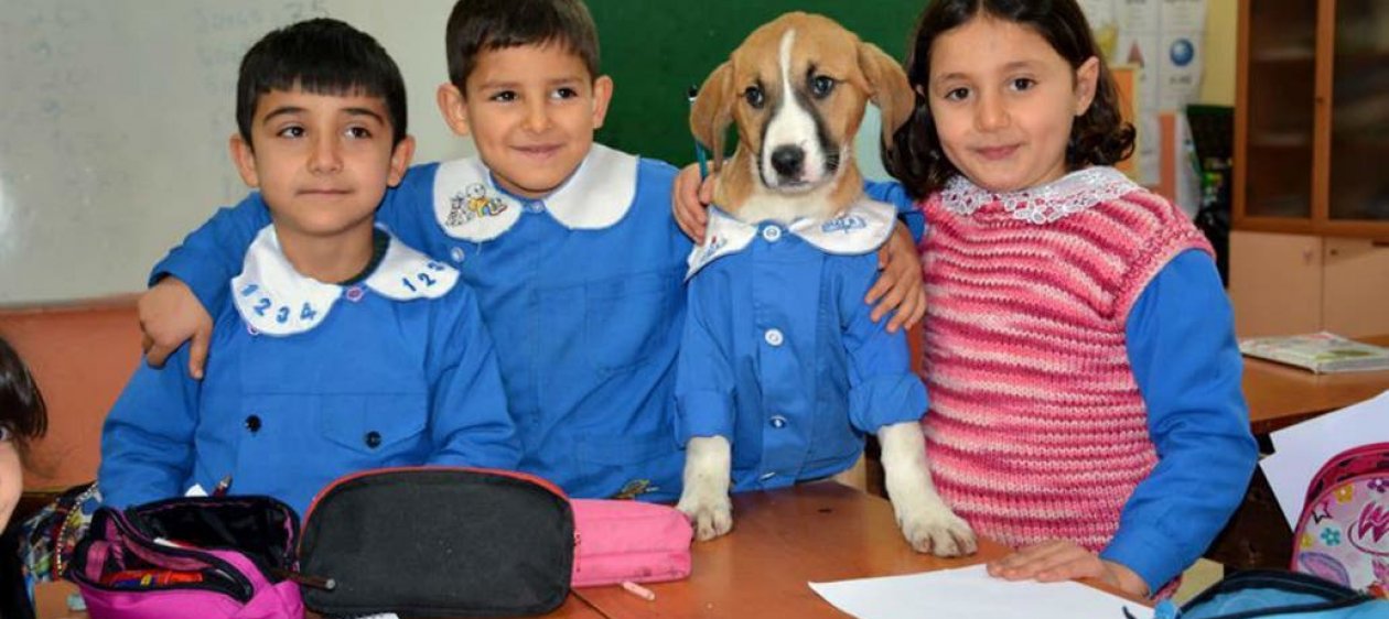 Llegó marzo y este perrito rescatado también asistió a clases