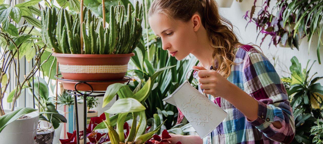 ¿Sabías que tus plantas ahora también pueden tener