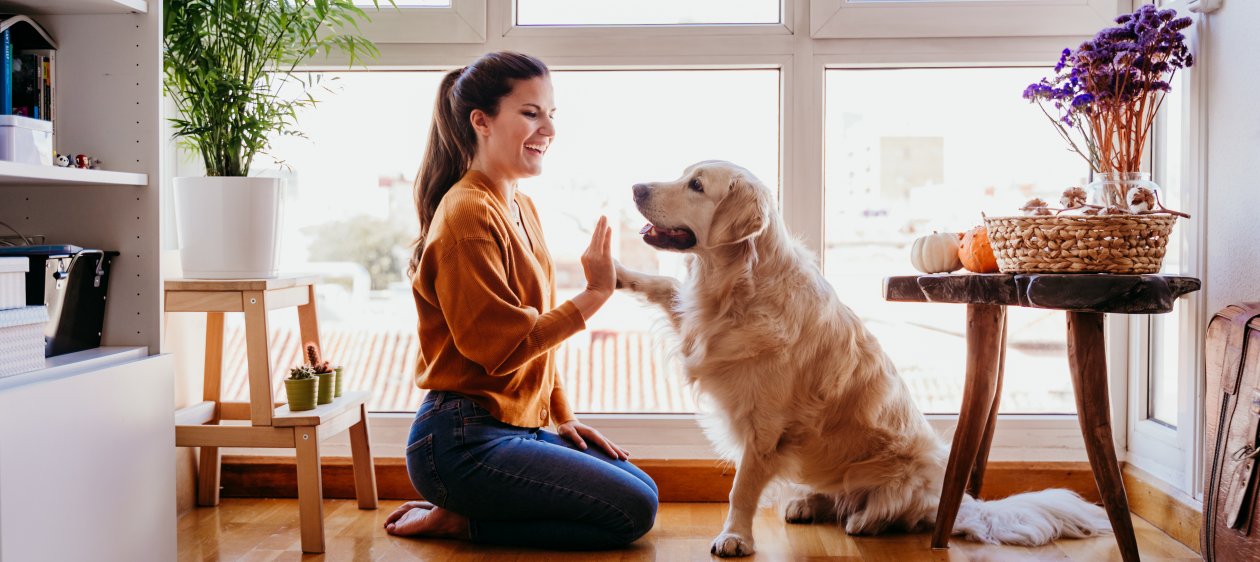 ¡Día del Perro! Existen 300 millones de Mejores Amigos en el mundo