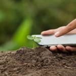 ¿Qué alternativas existen en cuanto a smartphones sustentables?