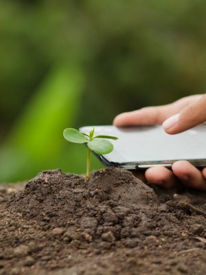¿Qué alternativas existen en cuanto a smartphones sustentables?