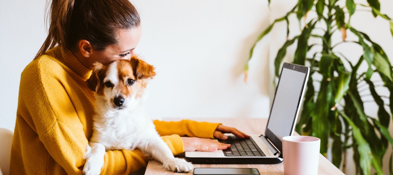 ¿Cómo volver al trabajo presencial sin que tu mascota sufra?