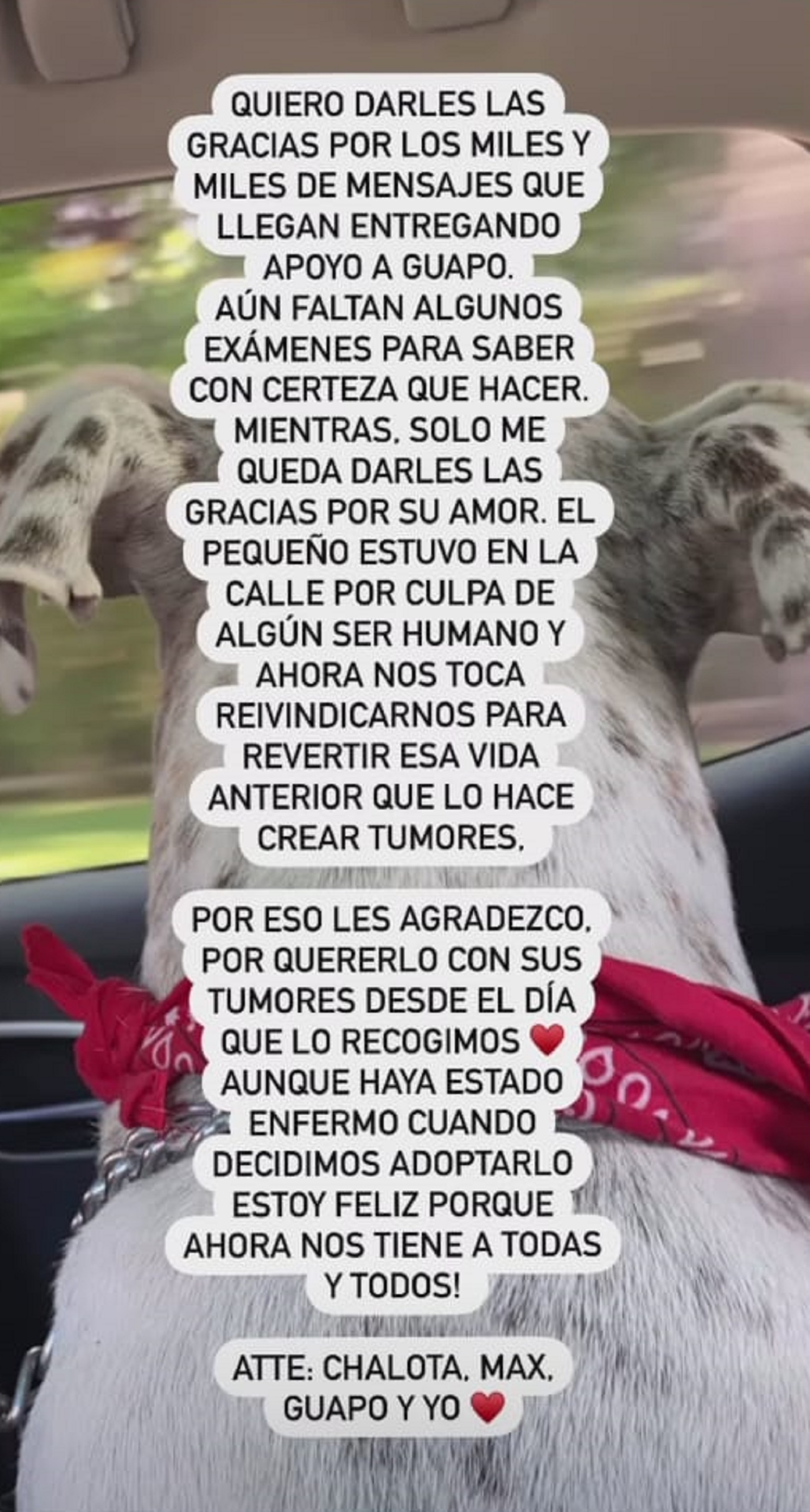 Imagen foto_00000002