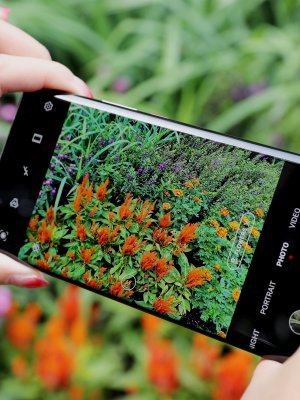 ¿Sabías que el último smartphone de Huawei tiene la mejor cámara selfie del mercado?