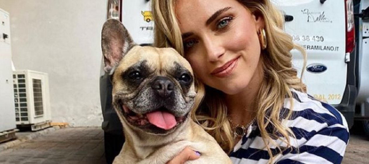 Matilda Ferragni: así es la perra influencer de Chiara Ferragni