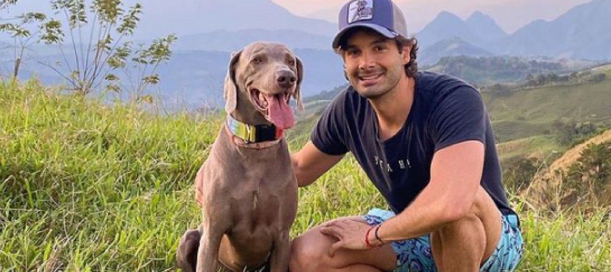 Luca, el precioso weimaraner que la rompe en TikTok