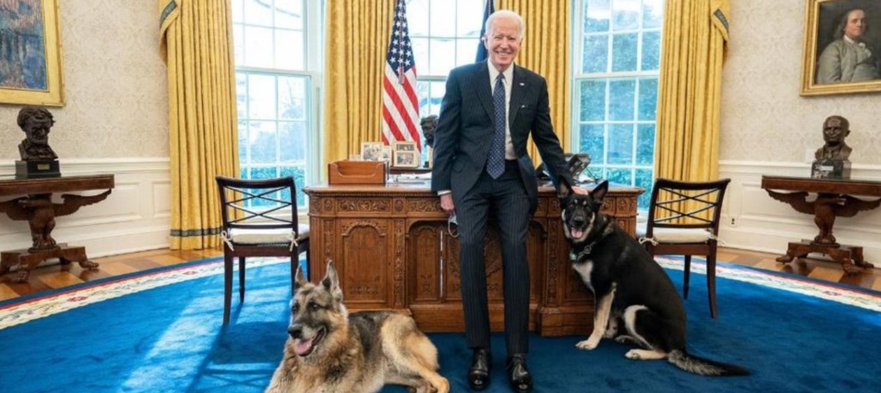 Perros de Joe Biden fueron alejados de la Casa Blanca tras incidente