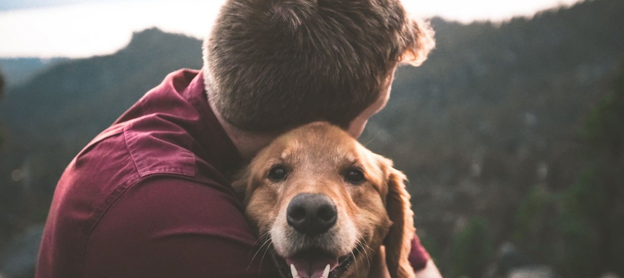 Las mascotas reducen el incremento del 22% del estrés y ansiedad derivados de la pandemia