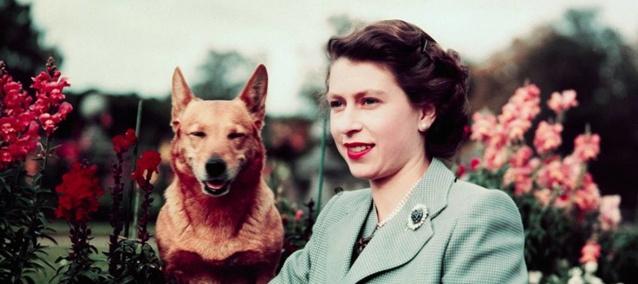 La fascinación de la Reina Isabel II por los corgis