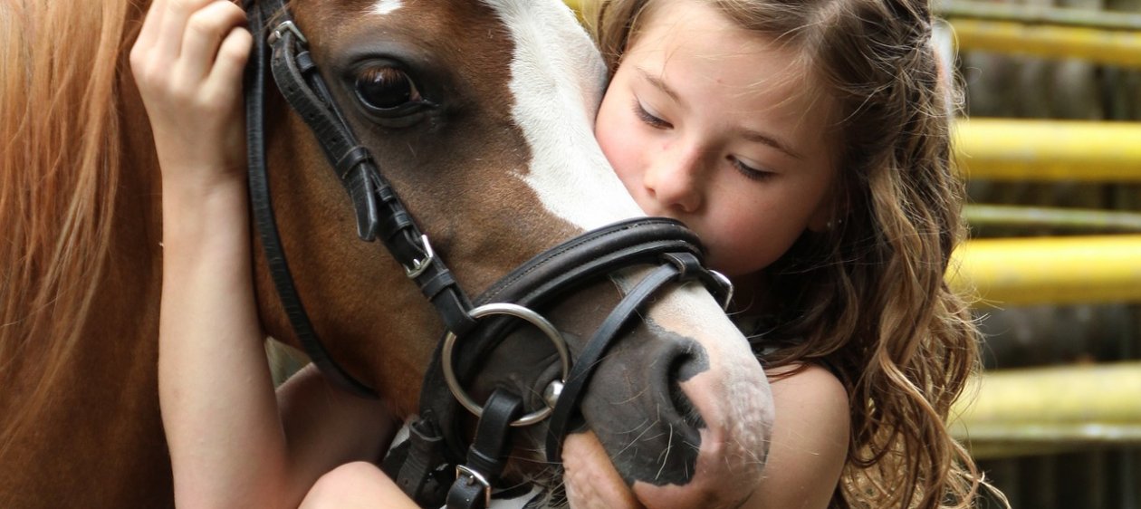 Terapia asistida con animales, tratamiento clave para apoyar a pacientes en distintas áreas de la salud