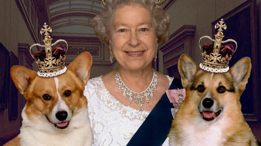 El simpático juego de la monarca: los corgis de la reina Isabel