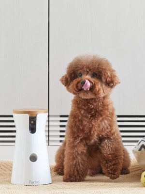 Pet Tech: innovadores productos para mejorar el cuidado de tu mascota