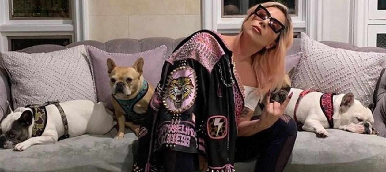 Arrestan a responsables del robo de los perros de Lady Gaga y ataque a su paseador