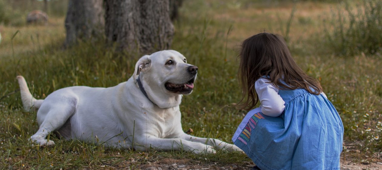 ¿Qué beneficios tiene que tu hijo crezca con una mascota a su lado?