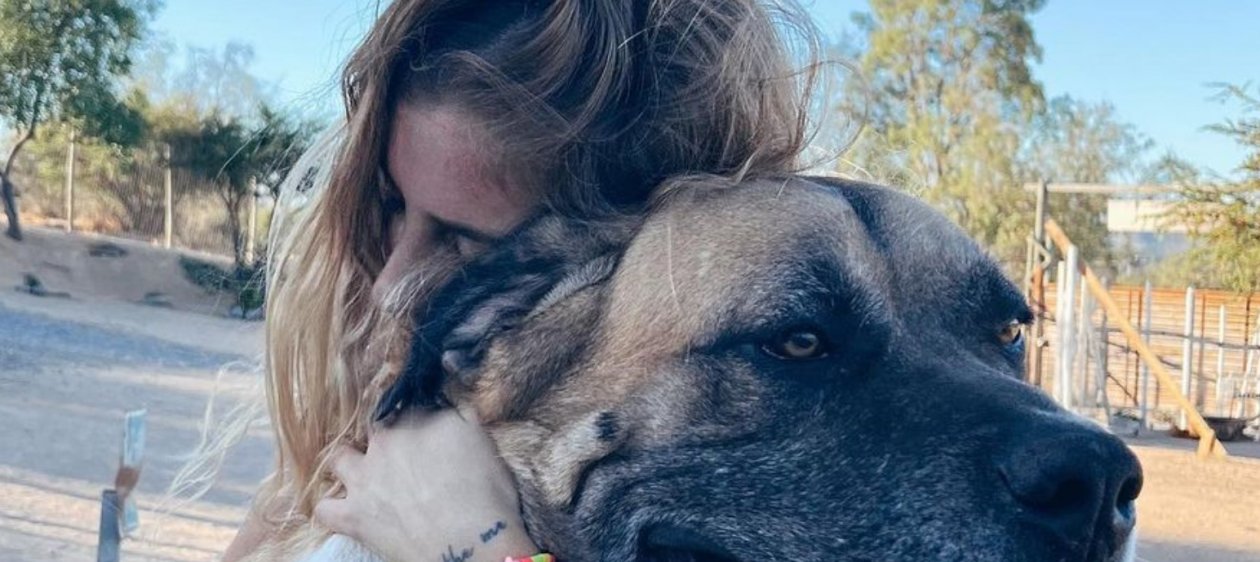 Dani Castro rompe el silencio sobre el ataque de uno de sus perros