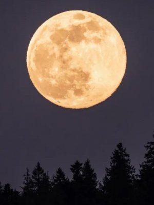 ¡Es hoy, es hoy! ¿Con quién verás la superluna de Esturión?