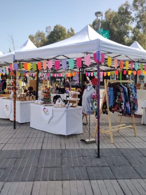 Feria Color y Arte reúne pequeños comerciantes de La Florida