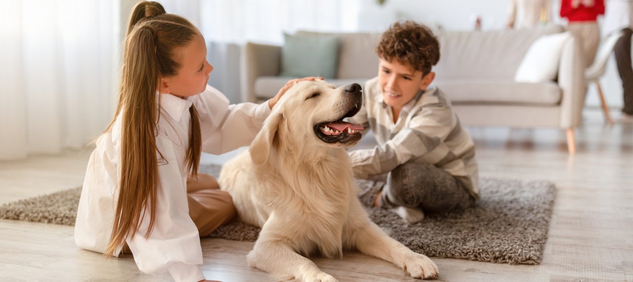 ¡Amor verdadero! Perros lloran de alegría al reencontrarse con sus dueños