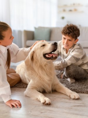 ¡Amor verdadero! Perros lloran de alegría al reencontrarse con sus dueños