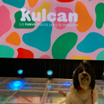 Conoce Kulcan, la nueva marca para el peludo de tu casa