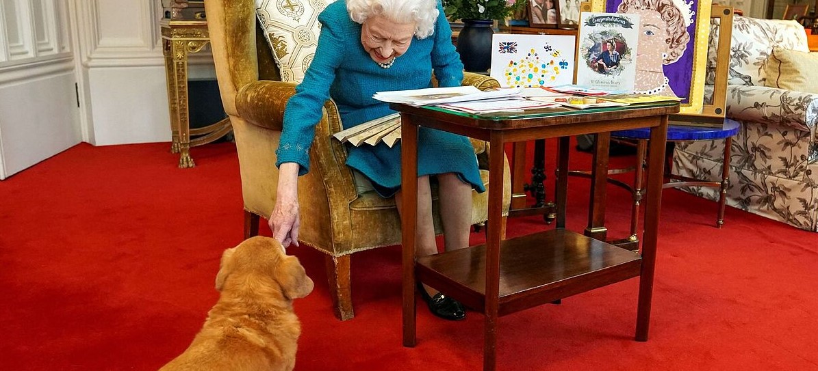 Los perros de la fallecida reina Isabel II ya tienen nuevos dueños