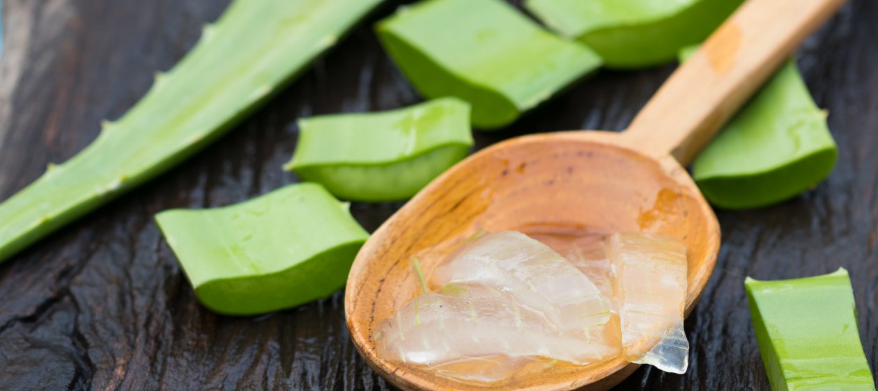 Las increíbles propiedades del Aloe Vera para combatir la caspa del cuero cabelludo