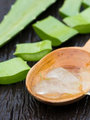 Las increíbles propiedades del Aloe Vera para combatir la caspa del cuero cabelludo