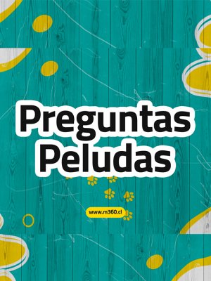 #PreguntasPeludas: ¿Cada cuánto tiempo debes chequear a tu mascota?