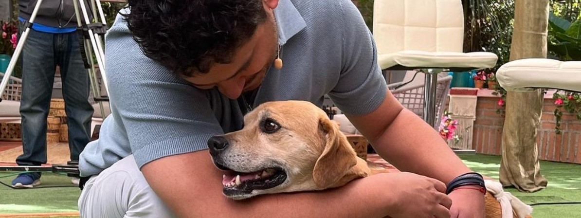 Así es la nueva vida de Hachi, el perrito rescatado por Gino Costa