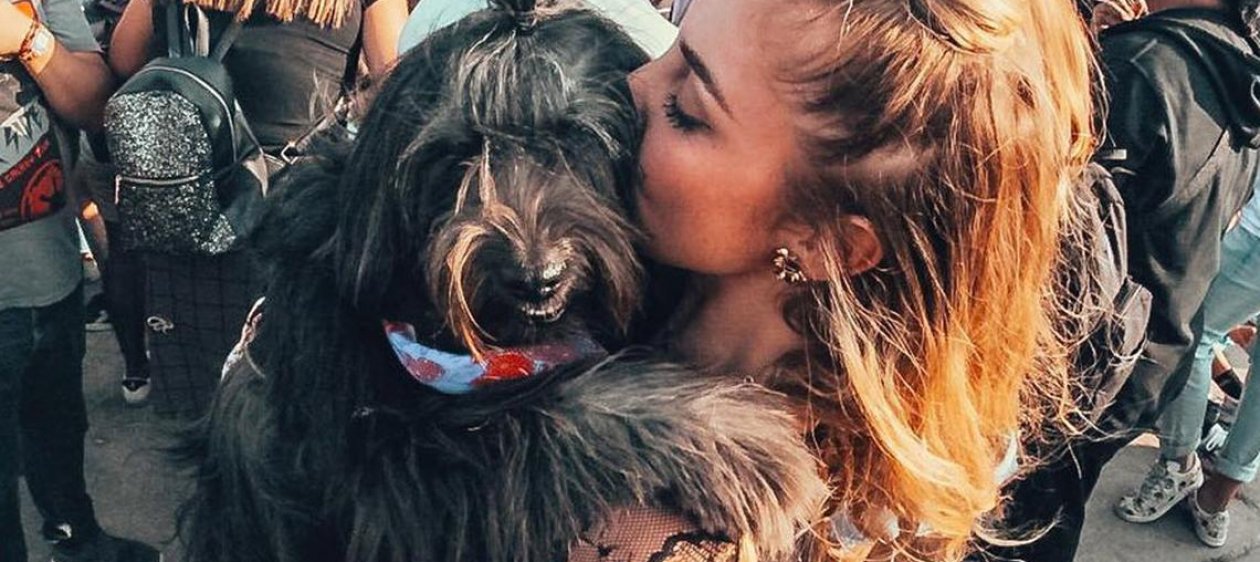 Chalota, la perrita de Dani Castro, fue invitada a la Gala de Viña 2023