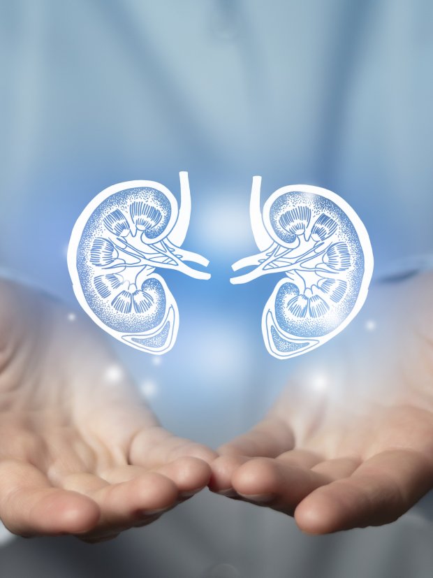 Día Mundial del Riñón: 8 reglas de oro para cuidar los riñones y prevenir la enfermedad renal