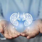 Día Mundial del Riñón: 8 reglas de oro para cuidar los riñones y prevenir la enfermedad renal