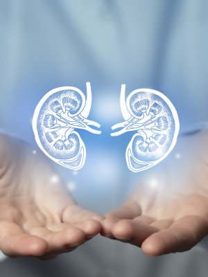 Día Mundial del Riñón: 8 reglas de oro para cuidar los riñones y prevenir la enfermedad renal
