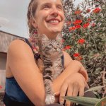 Así fue el paseo en bus de Ginger, la gatita de Alison Mandel