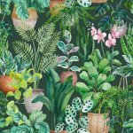 Descubre cómo estas 3 plantas pueden transformar tu hogar en un oasis verde