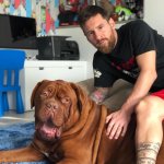 El delicado momento de salud que atraviesa Hulk, el perro de Lionel Messi
