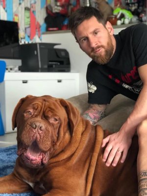 El delicado momento de salud que atraviesa Hulk, el perro de Lionel Messi