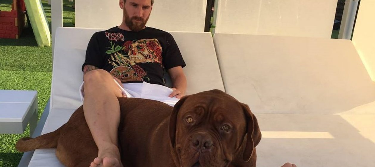 El delicado momento de salud que atraviesa Hulk, el perro de Lionel Messi