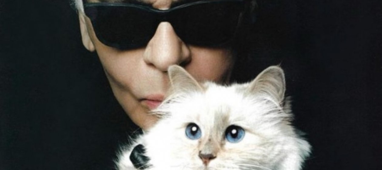 Choupette, la gata heredera de Karl Lagerfeld, se disculpó por no asistir a la MET Gala